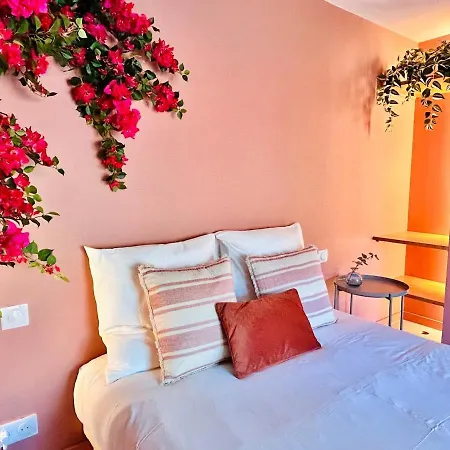 Stylish Garden Escape- Bbq, Projector & Exclusive Parking 公寓 滨海卡涅
